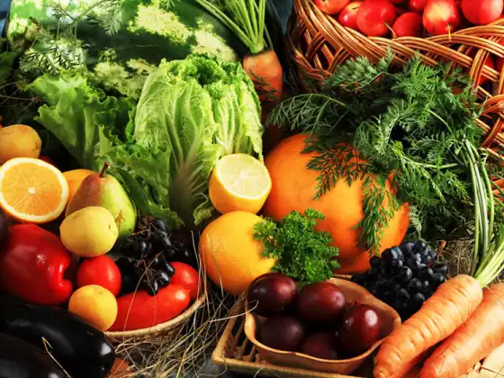 4 Wonders of the Kitchen - Essential Organic Recipes in 30 Minutes or Less - Multilingual