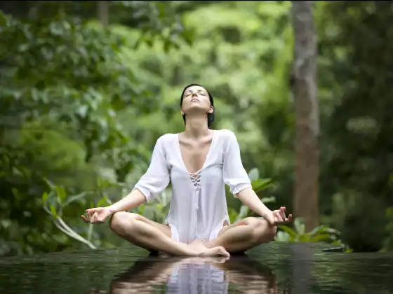 Your Calm, Cool, Creative Life