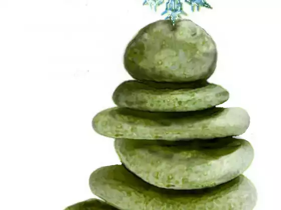 Zen for the Holidays