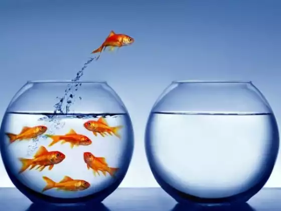 Letting Go of God Meditation 1