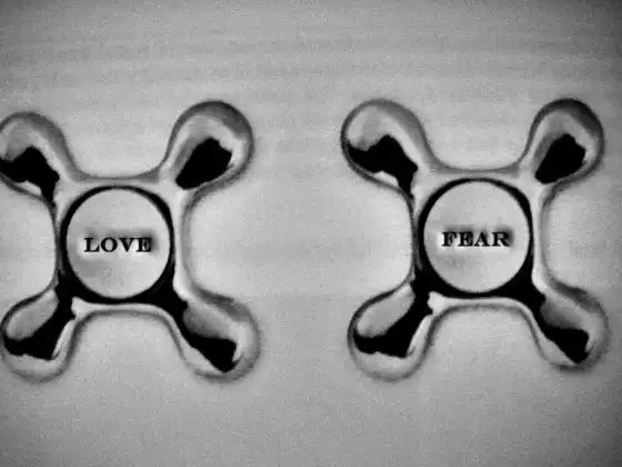 Love or Fear