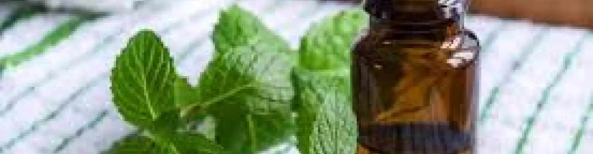 Peppermint Essential Oil