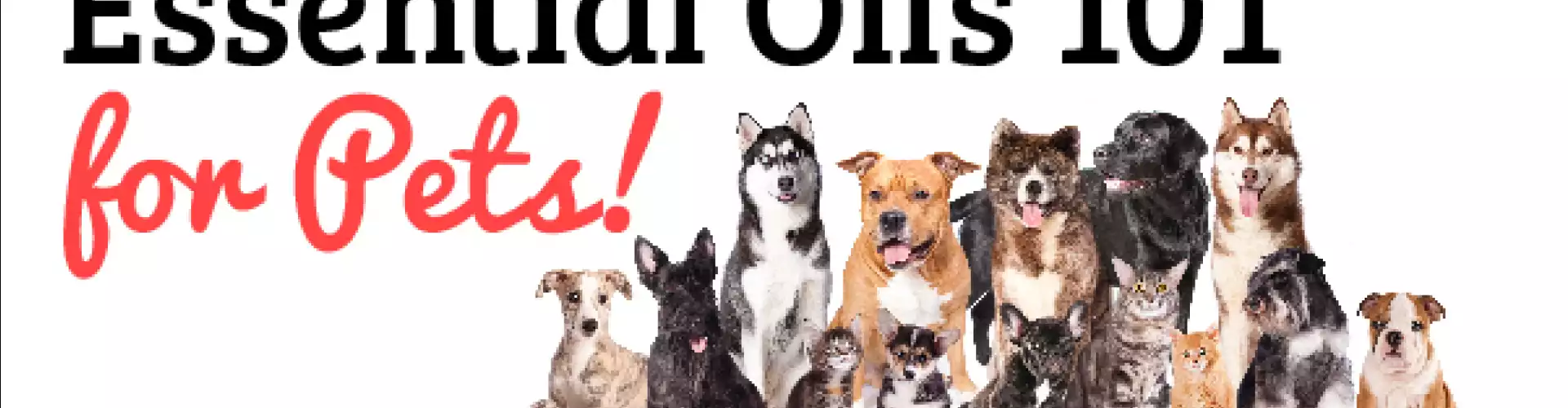 Essential Oils For Your Pets - Online Class by Dr. Kathleen B. Oden