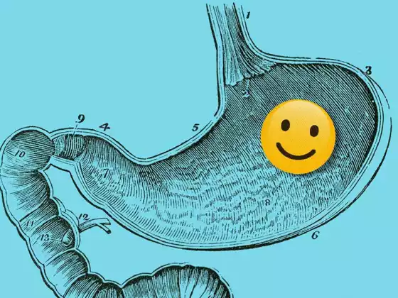 Gut Health 101