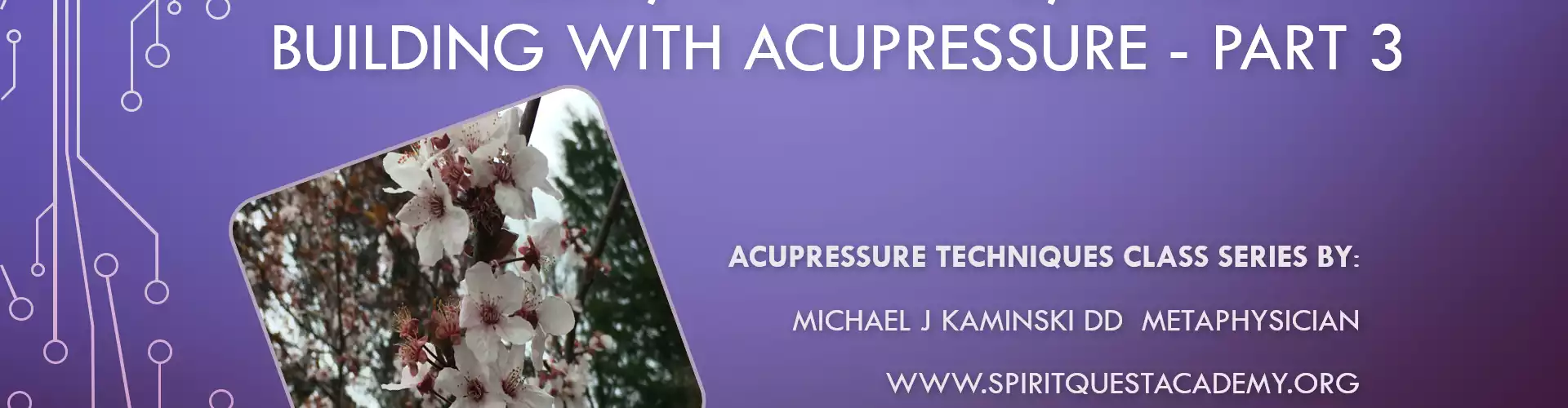 Facial Relief, Anti-Aging, Immunity Building with Acupressure - Part 3 - Online Class by Michael J Kaminski DD