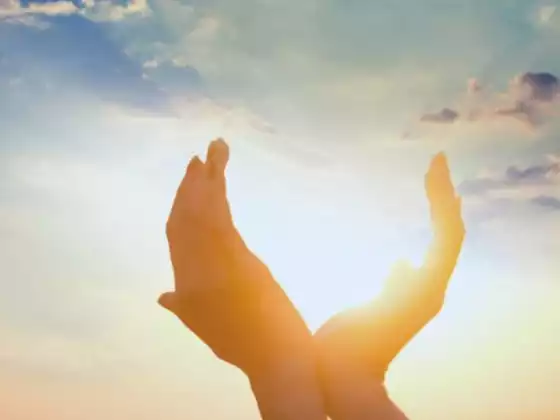 Finding Thrive within Survive 