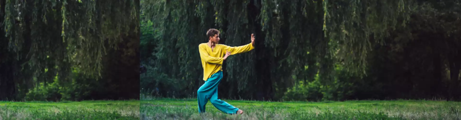 Qigong suave - Online Class by Cassaundra Paolini