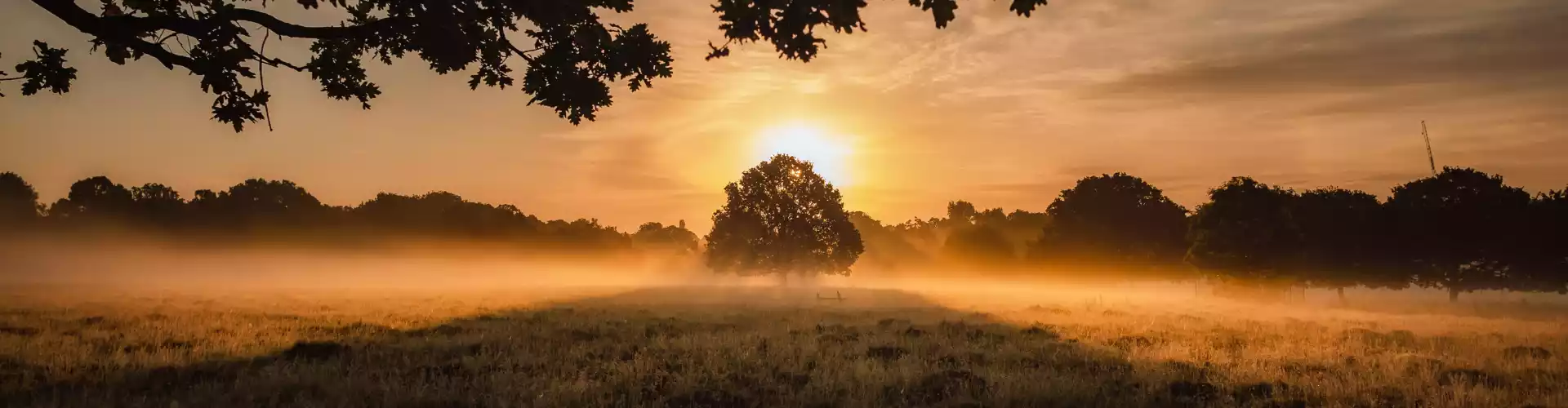 Les dimanches spirituels de l'Ascension