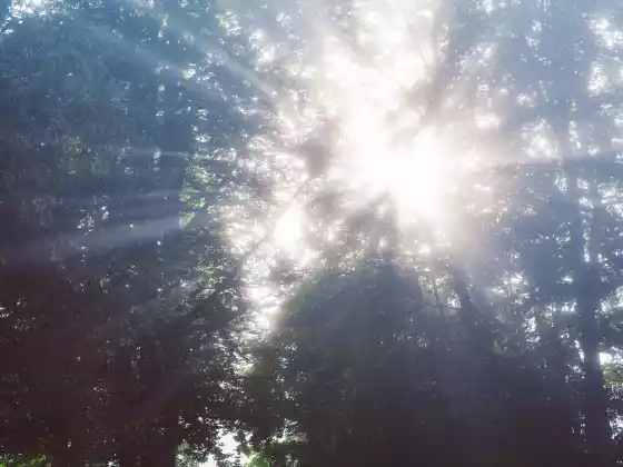 為你的直覺創造空間