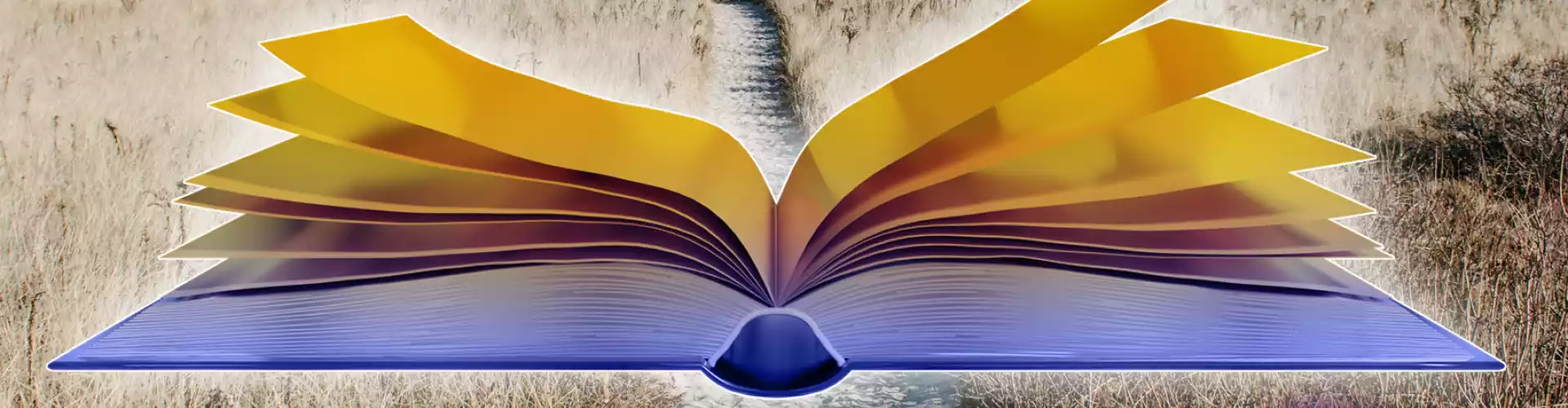 How To Start Your Journey into the Akashic Records Live Q and A Session - Online Class by Anika Ray