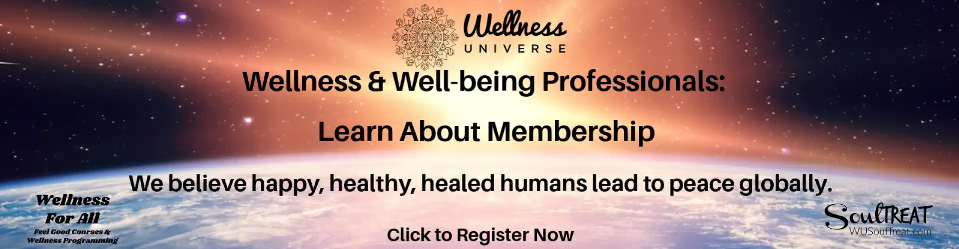 Introdução à Associação Wellness Universe