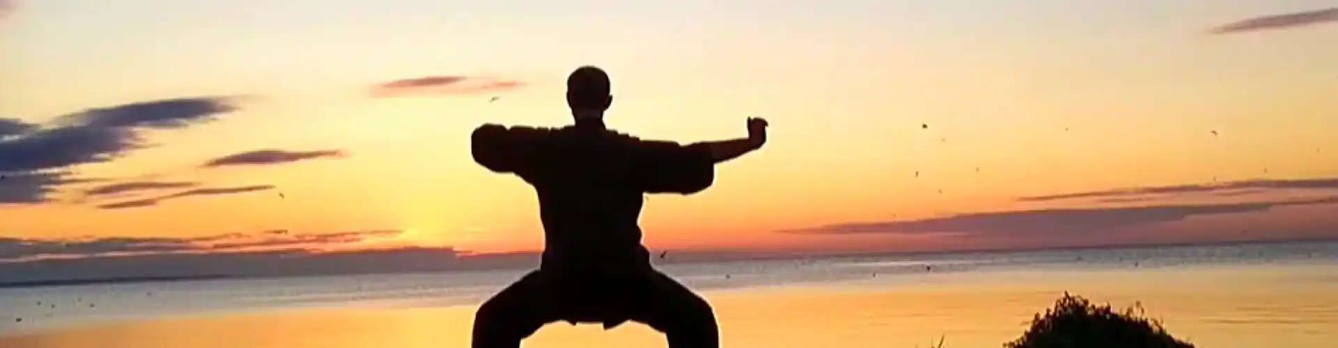 1 heure de Qigong avec 8 brocarts de soie - Online Class by Cassaundra Paolini