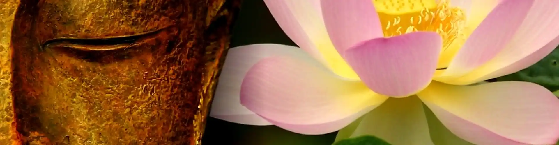 Reiki Cấp Độ Hai - Online Class by Cassaundra Paolini
