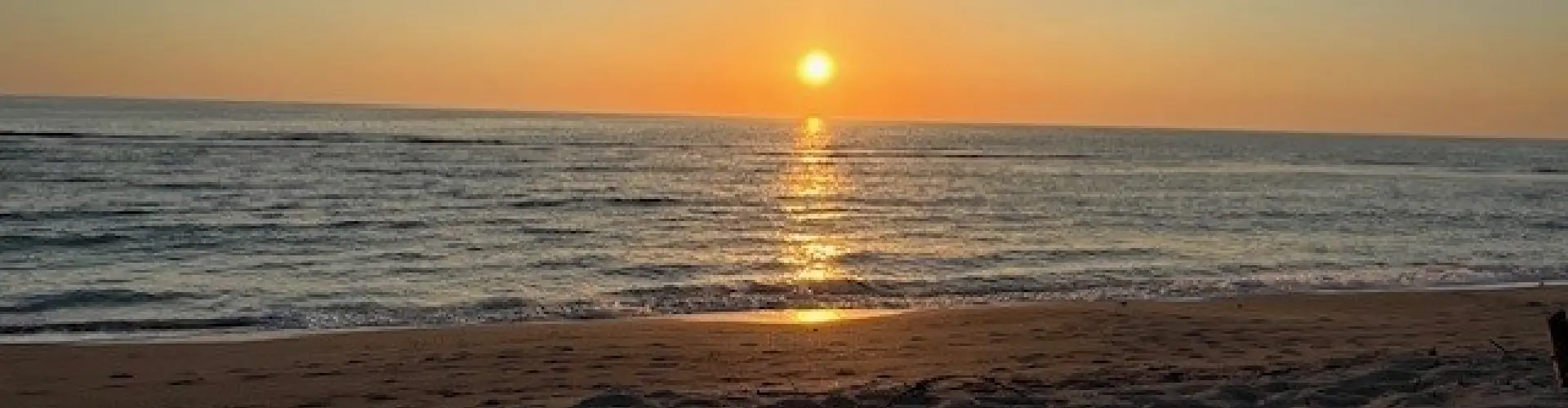 Guided Respite Break for Well-being Series - Online Class by Maureen  Doran