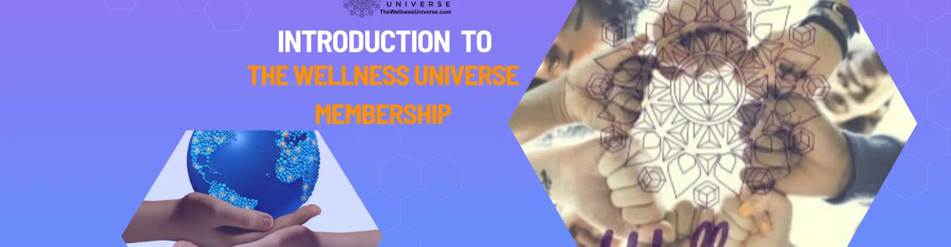 ウェルネスユニバースメンバーシップのご紹介 - VIP招待 - Online Class by The Wellness Universe