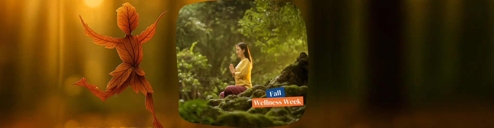 Abraço do Outono: Uma Meditação Reiki no Equinócio de Outono - Online Class by Jerry Mikutis