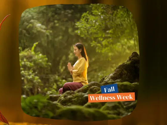 Abraço do Outono: Uma Meditação Reiki no Equinócio de Outono
